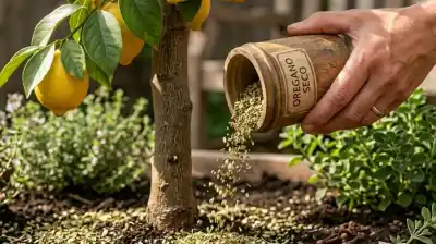 El truco casero que usan los jardineros para que el limonero explote de frutos