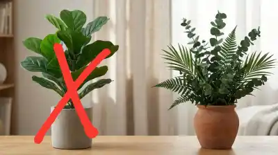 Dejá de regar tus plantas: la tendencia que está reemplazando a las artificiales en todos los hogares