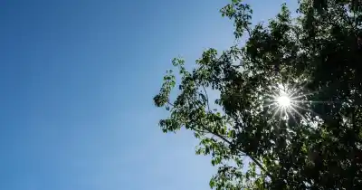 El sol le pinta otra cara a un domingo fresco en Rosario