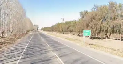 Chocaron contra una vaca en la ruta y el momento del impacto fue desgarrador