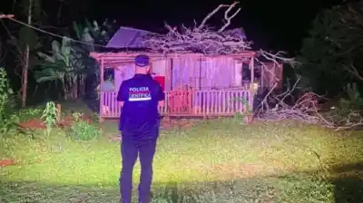 Estaba en brazos de su madre cuando una rama gigante cayó sobre su casa y la mató