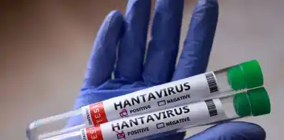 El hallazgo de científicas del Malbrán que podría frenar al hantavirus