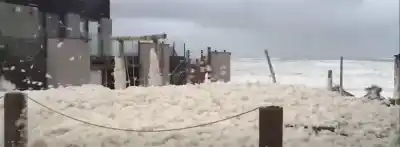 La costa atlántica amaneció con un paisaje blanco que dejó helados a los vecinos
