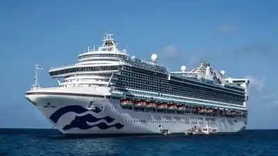 Un crucero con más de 100 enfermos: el virus que se propagó en altamar