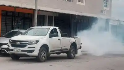 Cronograma de fumigaciones: los barrios que visitarán esta semana para combatir mosquitos