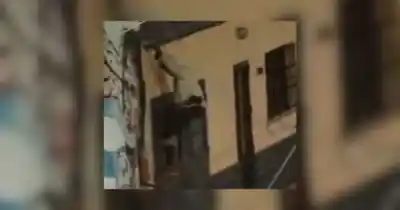Cámaras del CEO detectaron a dos delincuentes: uno trepó a una casa y el otro hacía de campana