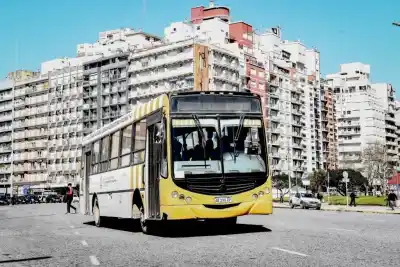 Atraso salarial paralizó el transporte: ¿qué pasó en Mar del Plata?