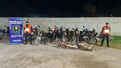 Llegaron a un camino vecinal y lo que encontraron desató un operativo de película