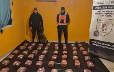 Se hicieron pasar por clientas de una empresa de encomiendas: el macabro contenido de los paquetes que dejó helada a la policía