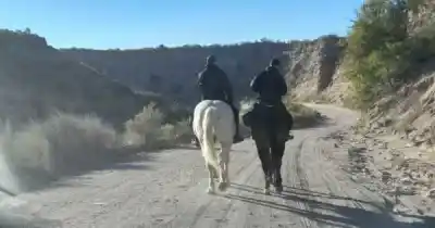 Lo buscaban desesperadamente en una zona rural: el hallazgo de la Policía Montada que sorprendió a todos