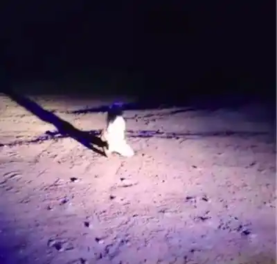 Extraña experiencia de policías municipales en un cementerio del interior de la provincia