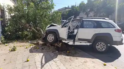 Perdió el control del auto y un árbol le salvó la vida: el insólito freno en barrio Sur