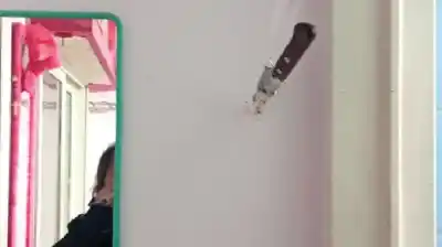 Fue a su casa con la excusa de su cumpleaños y lo que hizo después la aterrorizó