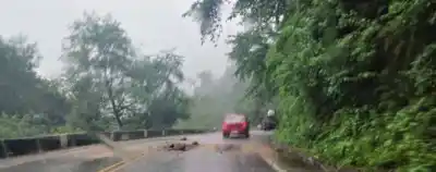 Por la lluvia se habrían registrado pequeños derrumbes en la Ruta 307
