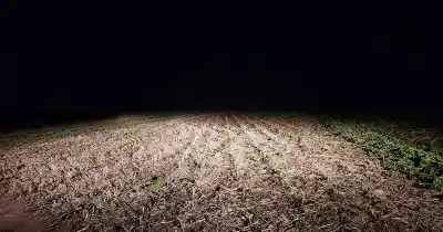 Avionetas abandonadas y cocaína: la alarmante cifra de vuelos narco en un año en la provincia