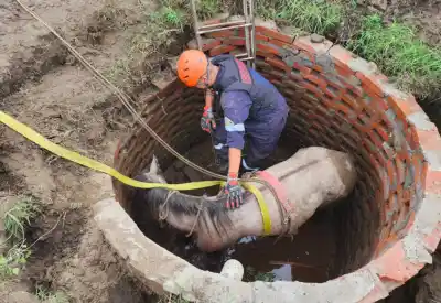 Bomberos de Monteros salvan a un caballo atrapado en un pozo