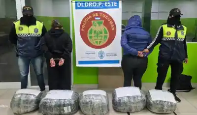 48 kilos de marihuana en una encomienda: el cargamento que desnuda una ruta narco en el NOA