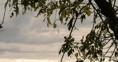 Rosario amaneció helada: ¿cuánto subirá la temperatura?