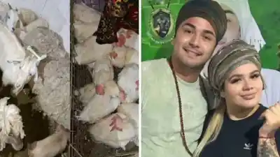 Allanaron el templo umbanda al que iba Morena Rial: rescatan más de 40 animales listos para sacrificio