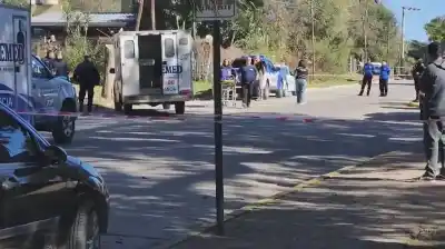 Salió sola de su casa y un perro la atacó: la desgarradora escena que encontraron los vecinos
