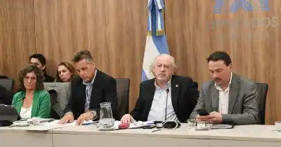 La crisis silenciosa que golpea a miles de hogares: el dramático testimonio que sacudió al Congreso