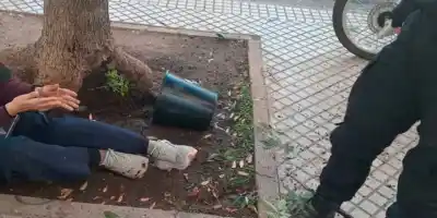 Caminaba por el microcentro y una maceta con una planta de marihuana le cayó encima