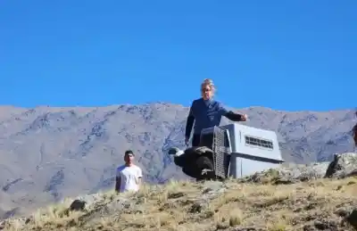 Lo encontraron en Alpachiri y lo que hicieron con el cóndor andino sorprendió a todos