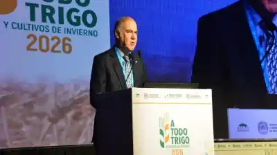 El pedido del Gobierno a los productores de trigo que nadie esperaba