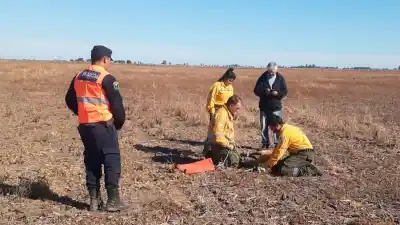 Encontraron a un animal herido en un campo y lo que descubrieron dejó helados a los rescatistas
