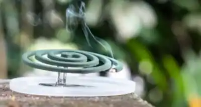 Compraron espirales y productos de belleza por internet, pero la ANMAT ya prohibió su venta en todo el país