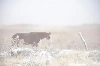 Aire polar llega a Tucumán: frío extremo y posible nieve en los Valles