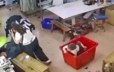 Se metió a un contenedor y su mamá lo sepultó sin querer: la trágica escena quedó filmada
