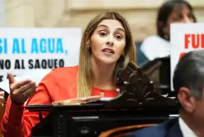 Diputada embarazada le responde a Milei tras llamarla ‘lechón iraní’: ‘Tengo 16 kilos de puro amor en mi panza’