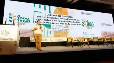 Colza, carinata y camelina: las claves de manejo que prometen revolucionar la rotación invernal