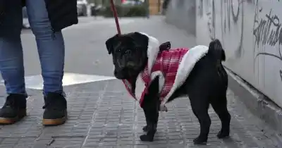El sábado arrancó helado y lo que se viene para el domingo es peor