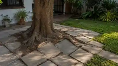 El error que muchos cometen al elegir un árbol para el jardín y las 5 especies que lo solucionan