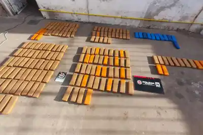 Investigaban un robo de ganado y lo que hallaron en una carnicería congeló a la policía