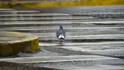 La siesta que nadie esperaba: una llovizna helada sorprendió a todos y el termómetro se desplomó