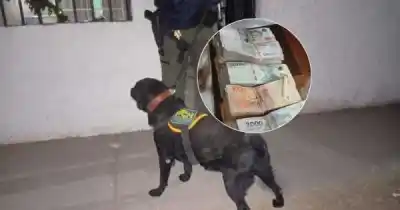 Cayeron dos mujeres y un hombre: el operativo que desarticuló una banda narco en El Algarrobal