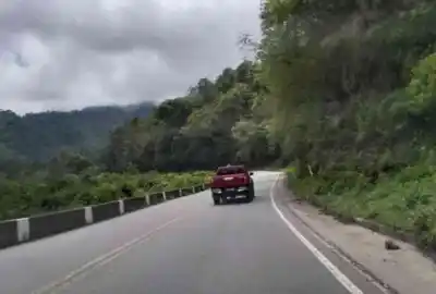 Árboles Caídos y Alerta en los Valles: “Precaución en la Ruta 307”