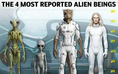 Exinvestigador de la CIA reveló que EE.UU. recuperó restos de cuatro especies alienígenas