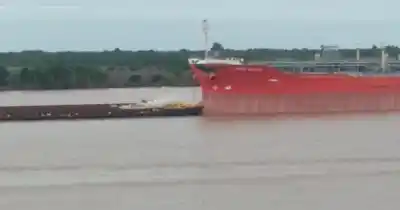 Un remolcador perdió el control y chocó de frente contra un enorme barco anclado frente a Rosario: el impactante video