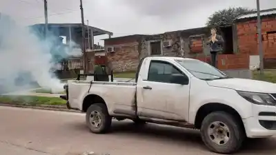 Semana de fumigaciones: ¿cuál es el barrio que visitarán este lunes?