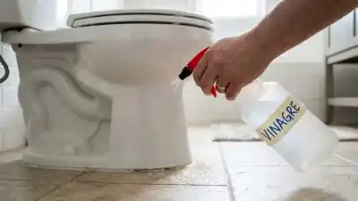 El truco de limpieza que pocos conocen: rociá esto alrededor del inodoro y mirá lo que pasa