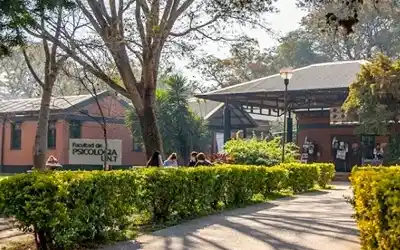 Denuncian que dos autoridades universitarias violan el Estatuto: ¿qué pasará con sus cargos?
