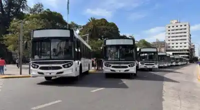 Gobierno prorrogó el pago de los 100 colectivos: ¿qué pidieron las empresas para no quebrar?