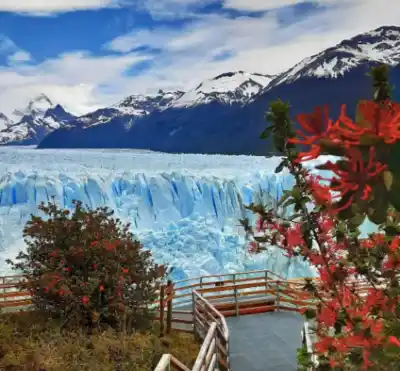 El Glaciar Perito Moreno, un Gigante de Hielo Colosal en Argentina