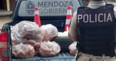 Inspeccionaron un comercio en Las Heras y lo que encontraron en la cocina es escalofriante