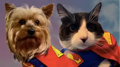 Desfile de Mascota para celebrar el “Día del Animal” en Monteros
