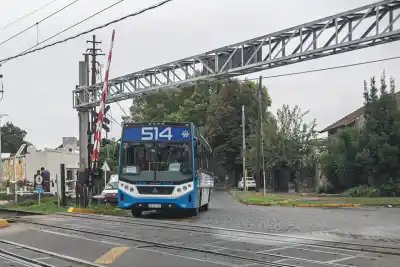 Nuevo ramal de la línea 514: el recorrido que cambiará los viajes en Almirante Brown